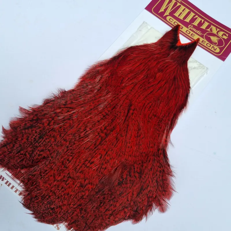 Whiting Coq de Leon Hen Cape in Speckled Red-3